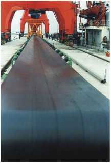 1719276381242793.jpg b1.jpg