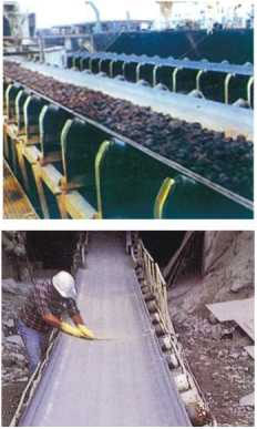 1719276516841270.jpg b1.jpg